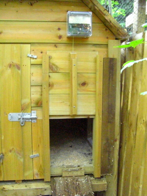 AUTOMATIC CHICKEN DOOR Â« WOOD DOORS