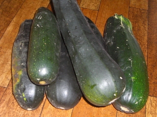 marrows