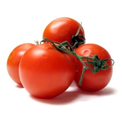 tomatoes