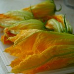 marrow-flowers-ready-to-freeze