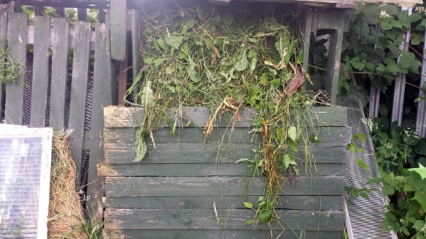 allotment-rnd1-compost-bin